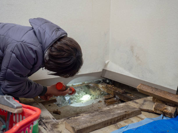 Best Mold Remediation for Healthcare Facilities  in Mathews, LA