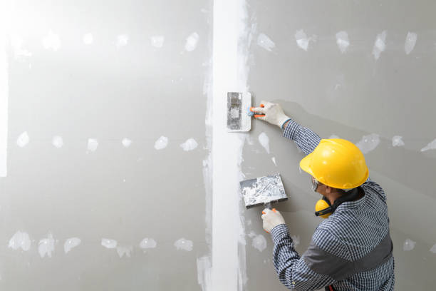 Best Air Quality Testing for Mold Spores  in Mathews, LA