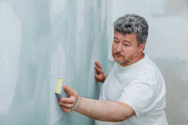Best Post-Construction Mold Inspection  in Mathews, LA