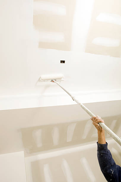 Best Residential Mold Inspection & Testing  in Mathews, LA