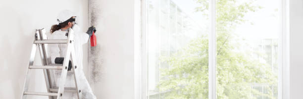 Best Commercial Mold Inspection  in Mathews, LA