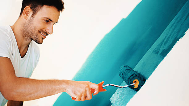 Best Mold Removal for HVAC Installations  in Mathews, LA